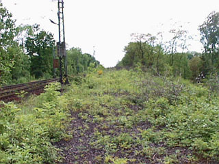 6000753.jpg (98269 Byte)