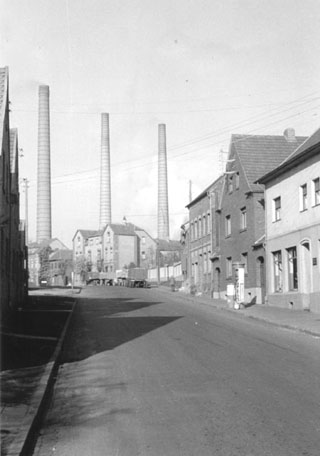 bild24 Kopie.JPG (43378 Byte)